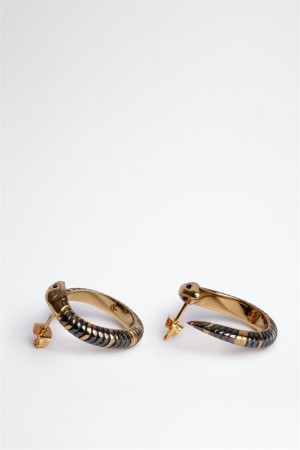 Zadig And Voltaire Snake Hoop Earrings Shiny Gold | ZV-255881